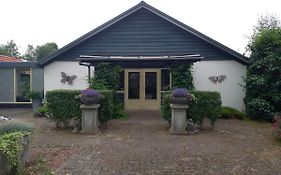 Roing B&B